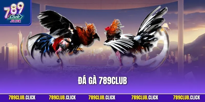 Đá Gà 789CLUB